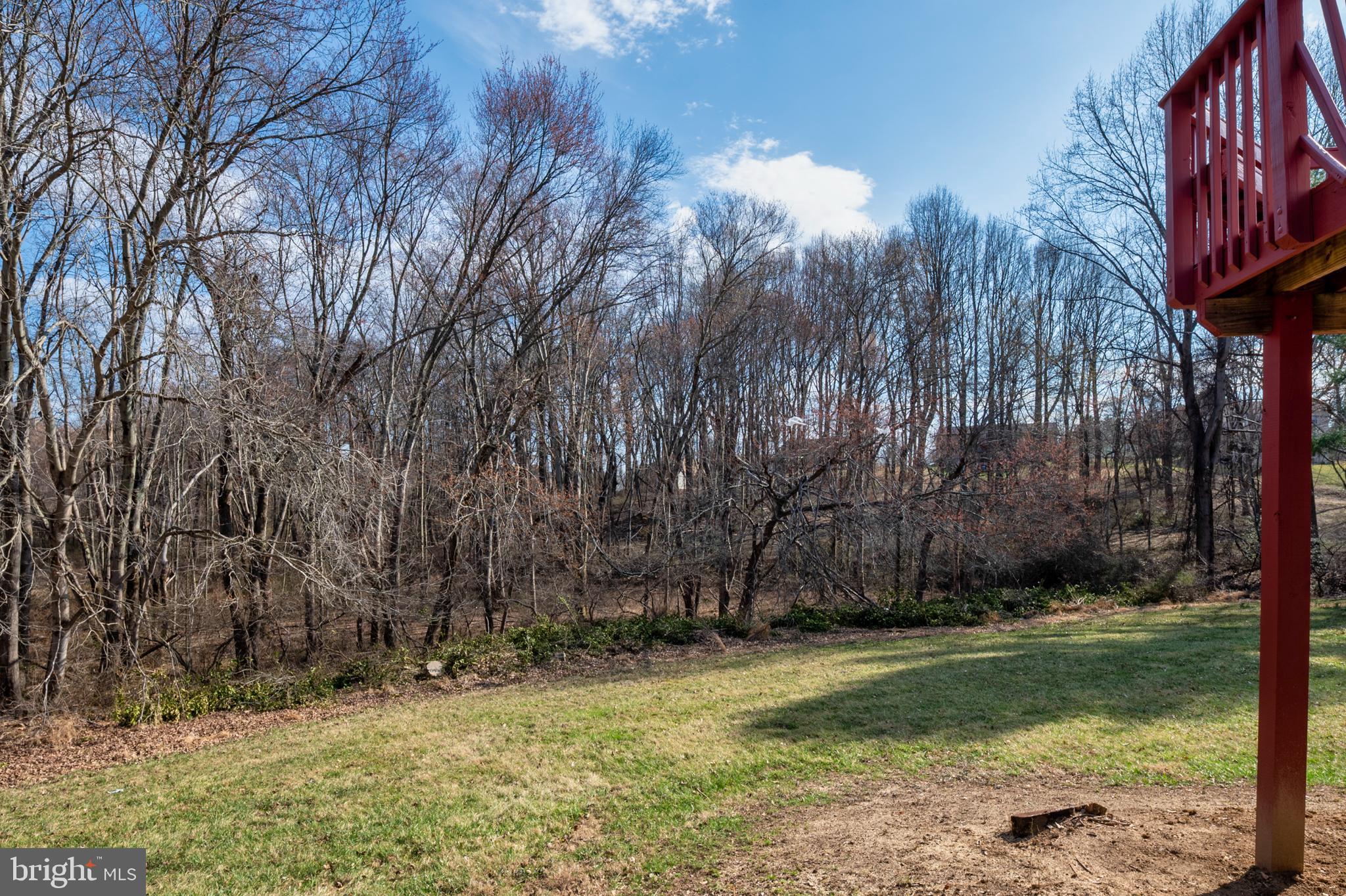 3617 Ripplingbrook Court Bowie, MD 20721 - Photo 15 of 29 a view of a yard with large trees