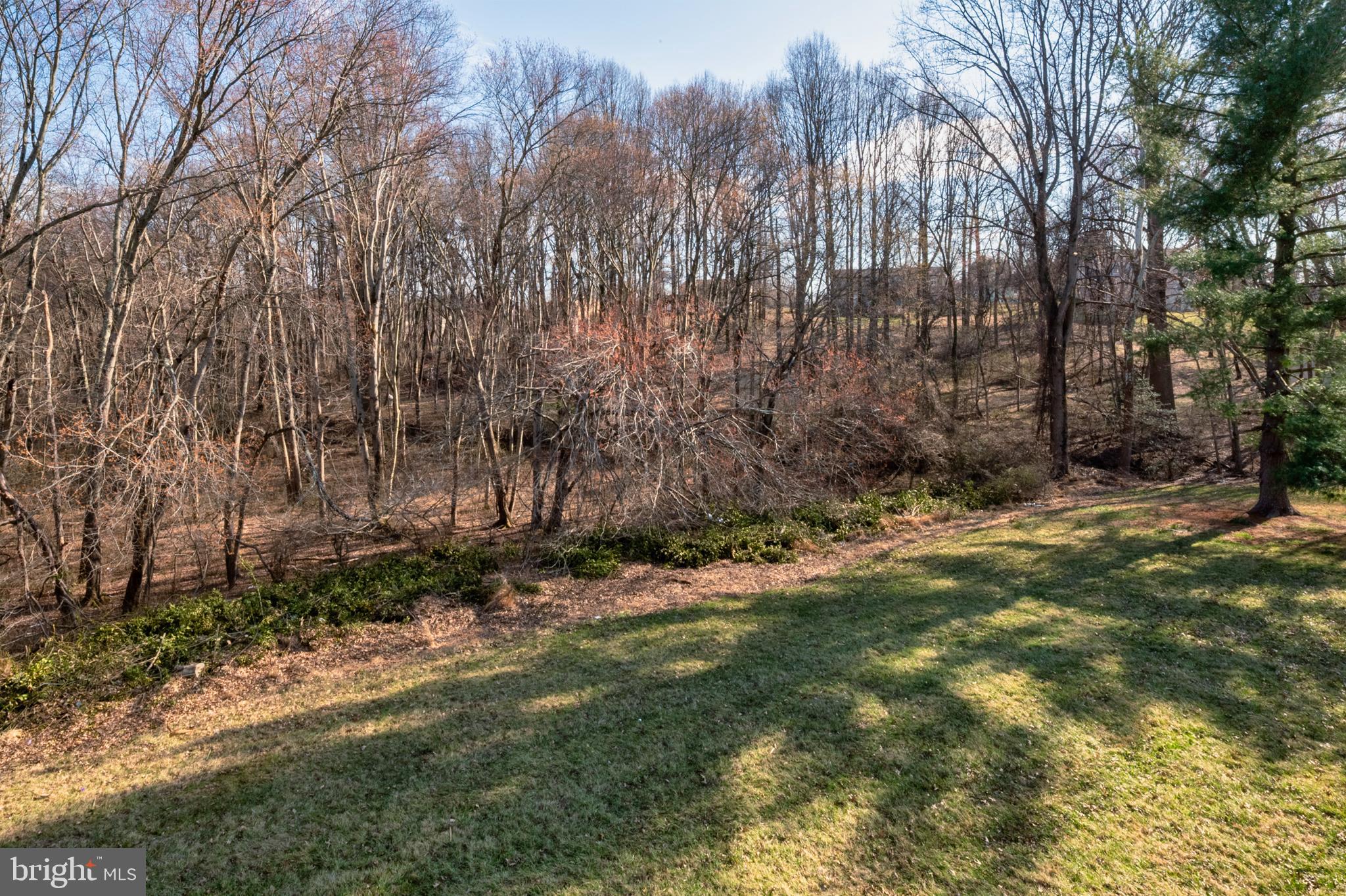 3617 Ripplingbrook Court Bowie, MD 20721 - Photo 26 of 29 a view of backyard with green space