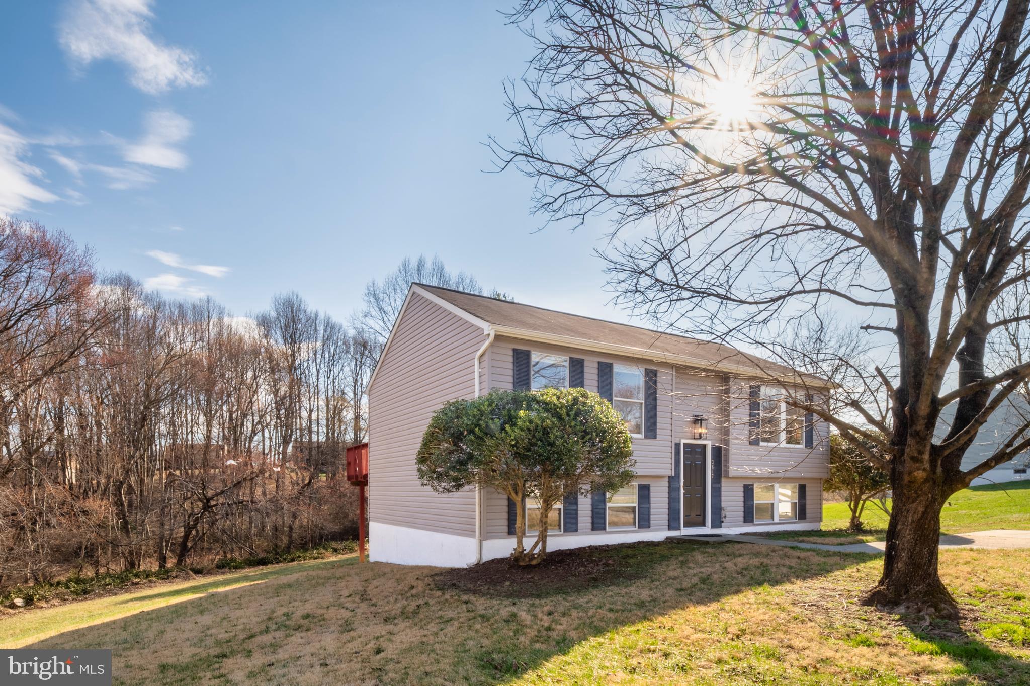 3617 Ripplingbrook Court Bowie, MD 20721 - Photo 29 of 29 a front view of a house with a yard and large tree