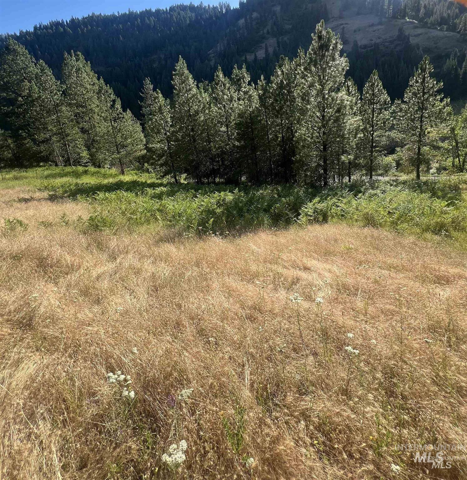 Nka Clearcreek Road Kooskia, ID 83539 - Photo 17 of 25 View of wooded area