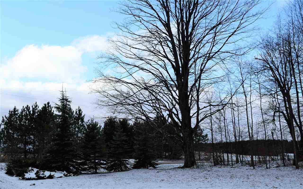 1708 Hammer Road West Kingsley, MI 49649 - Photo 13 of 20 1870163-20.JPG