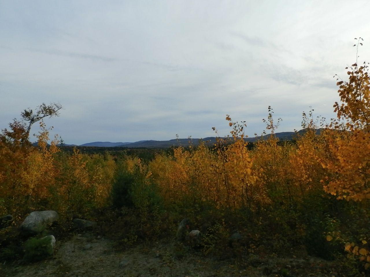 2 West Side Road Dixfield, ME 04224 - Photo 6 of 13 PA080323