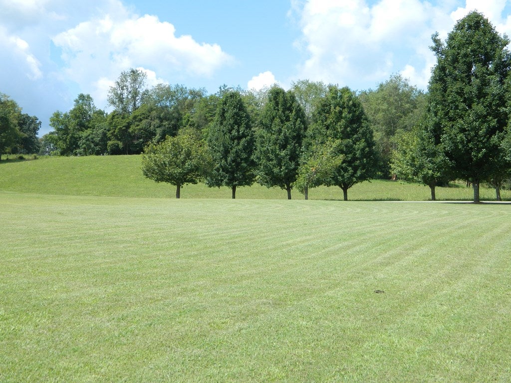 946 South Fork Road Marion, VA 24354 - Photo 46 of 46 Gallery Image 46