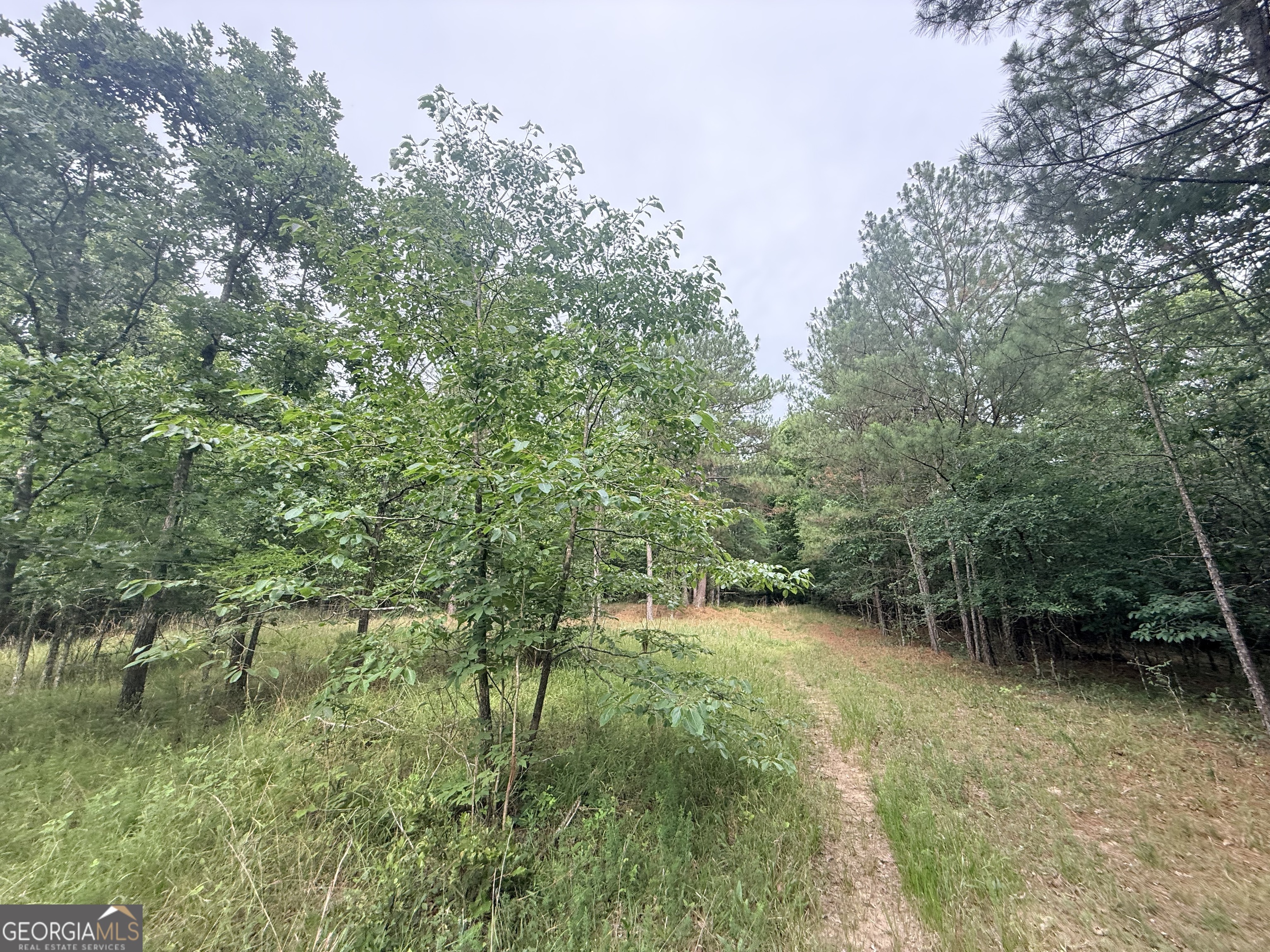 3 Bethesda Church Road Lexington, GA 30648 - Photo 45 of 60