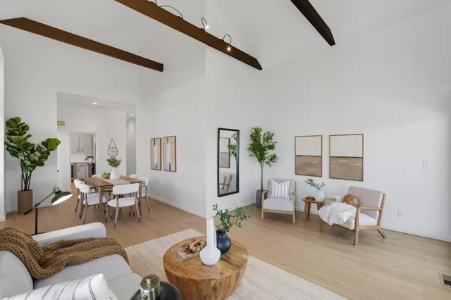 a living room with furniture and a potted plant