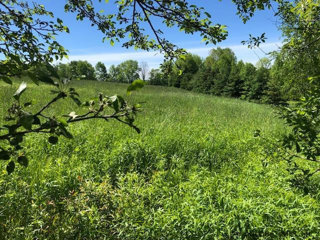 0 Eminence Road Summit, NY 12175 - Photo 3 of 12 Photo 3
