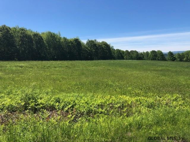 0 Eminence Road Summit, NY 12175 - Photo 7 of 12 Photo 7