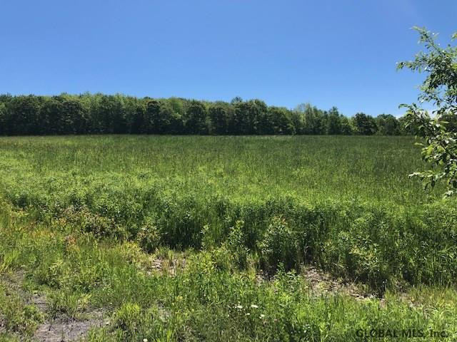 0 Eminence Road Summit, NY 12175 - Photo 8 of 12 Photo 8