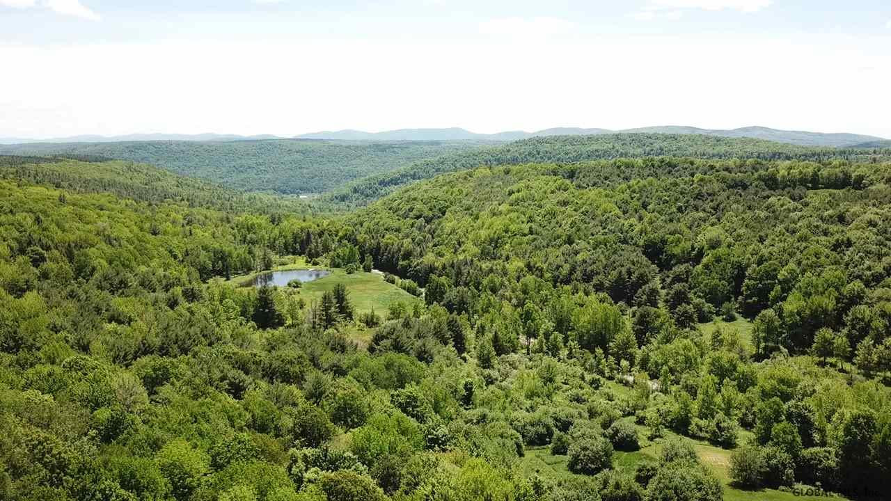 0 Eminence Road Summit, NY 12175 - Photo 10 of 12 Photo 10