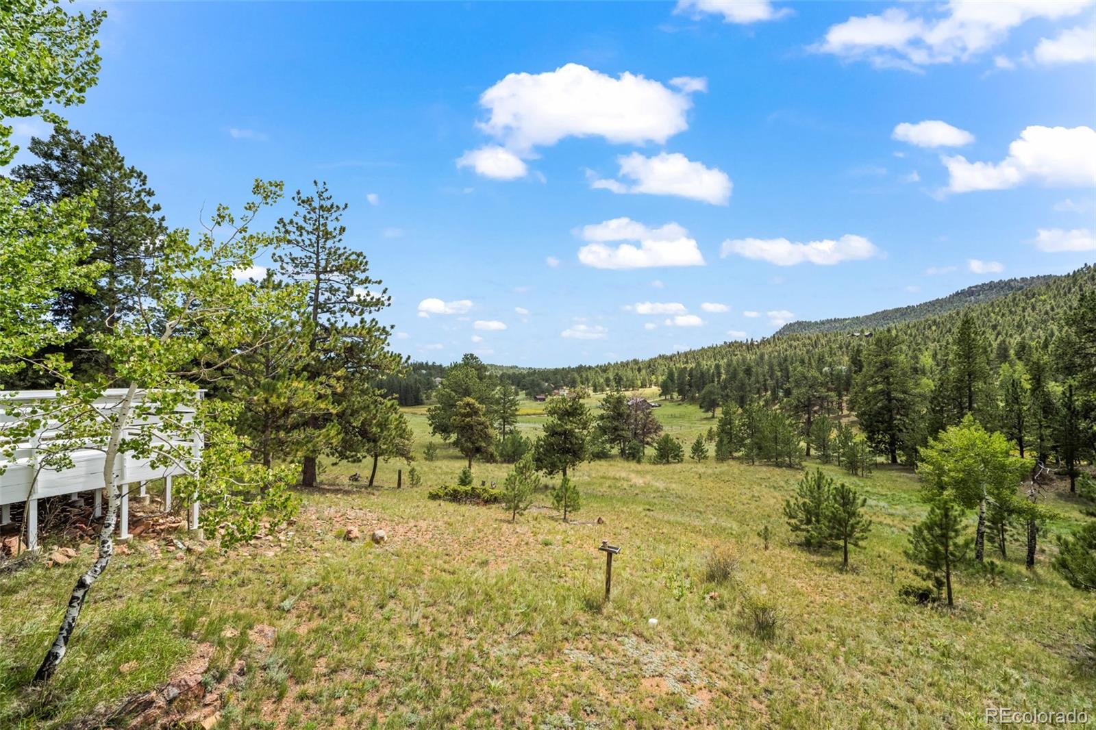 1231 Nova Road Pine, CO 80470 - Photo 43 of 48 Gallery Image 43