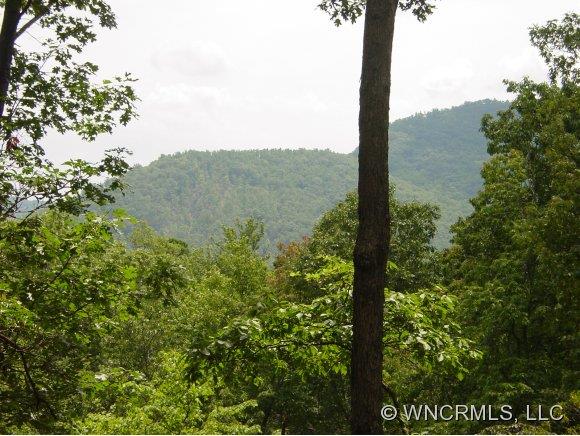 74 Smokey Ridge Trail, Unit 236 Arden, NC 28704 - Photo 1 of 9 Gallery Image 1