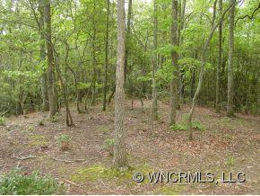 74 Smokey Ridge Trail, Unit 236 Arden, NC 28704 - Photo 3 of 9 Gallery Image 3