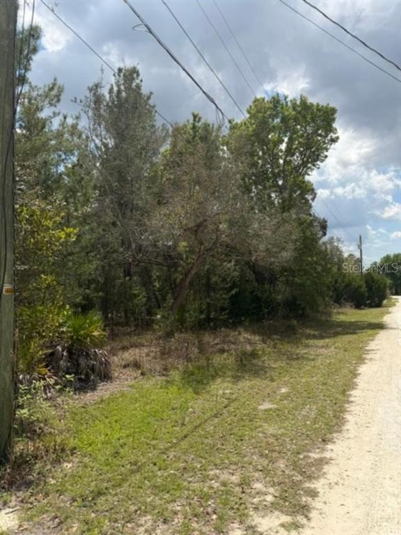 0 Bastian Court Weeki Wachee, FL 34613 - Photo 2 of 9 a view of a yard