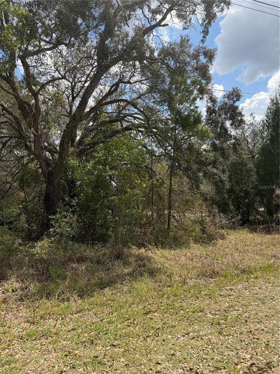 0 Bastian Court Weeki Wachee, FL 34613 - Photo 4 of 9 a view of a yard