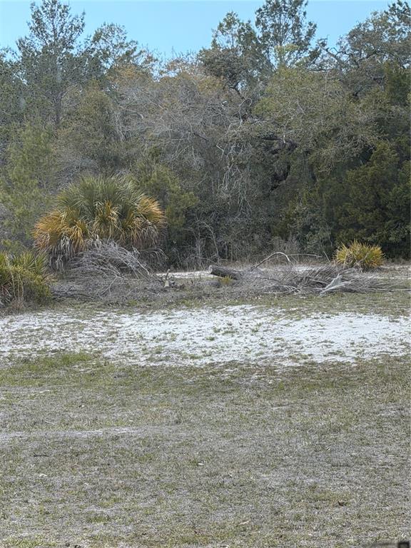 0 Bastian Court Weeki Wachee, FL 34613 - Photo 5 of 9 a view of a yard with wooden fence
