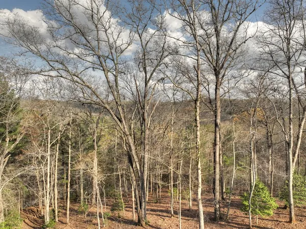 $3,300 | 250 Wolf Crk Mountain Road, Mineral Bluff, GA 30559