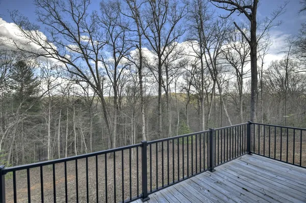 $3,300 | 250 Wolf Crk Mountain Road, Mineral Bluff, GA 30559