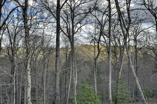 $3,300 | 250 Wolf Crk Mountain Road, Mineral Bluff, GA 30559