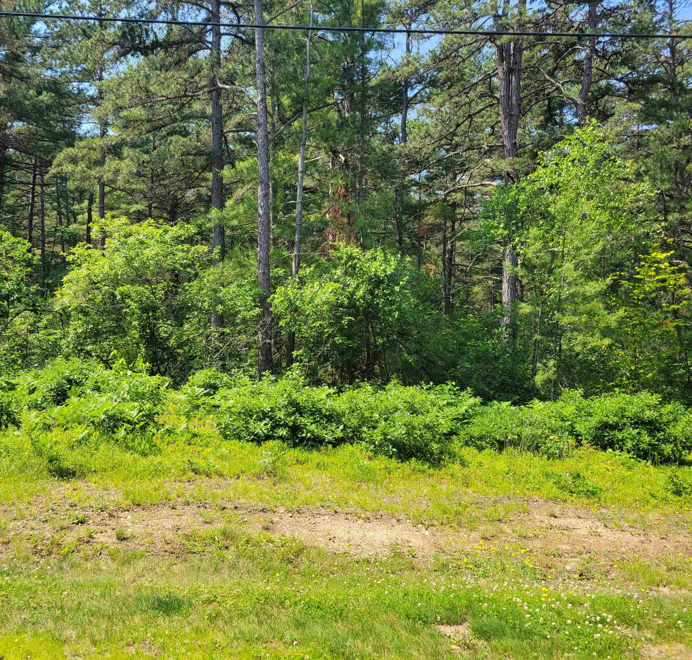 26 Logan Way Ossipee, NH 03814 - Photo 2 of 6