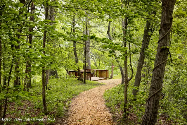 a view of a yard with plants
