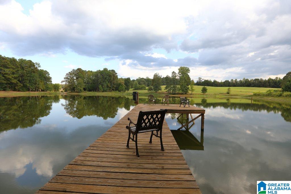 2307 County Road 46 Montevallo, AL 35115 - Photo 39 of 45