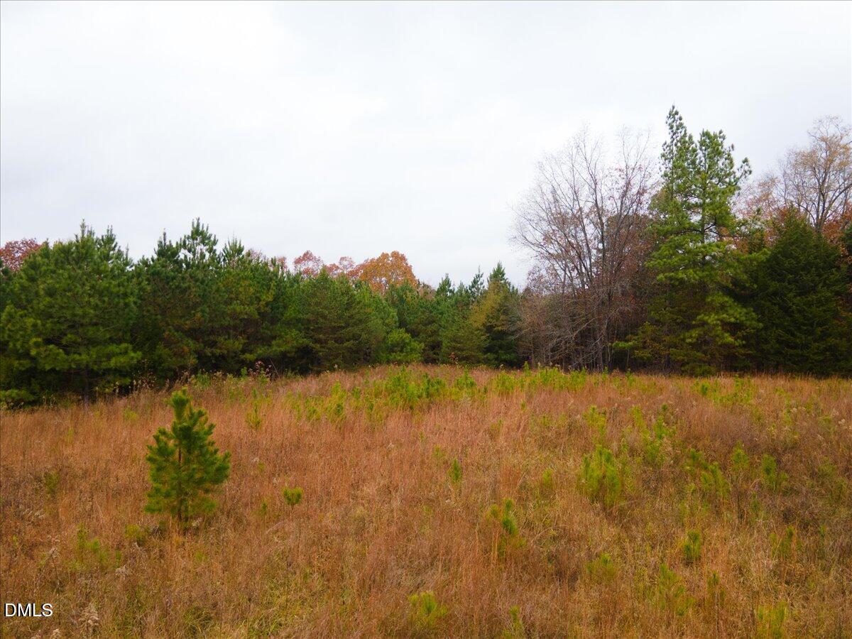 1923 Lawson Chapel Church Road Roxboro, NC 27574 - Photo 18 of 19 a view of lake and mountain