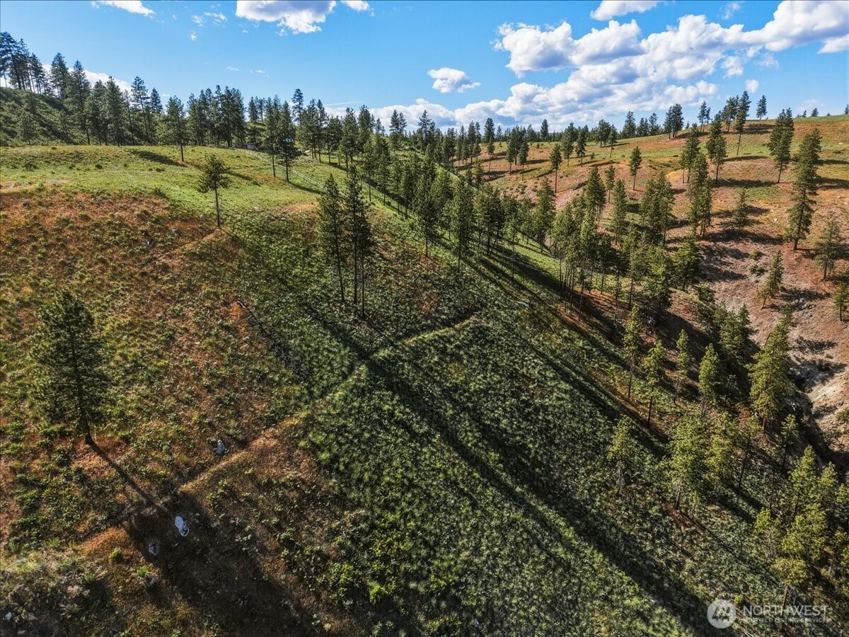 6575 Union Valley Road Chelan, WA 98816 - Photo 12 of 32