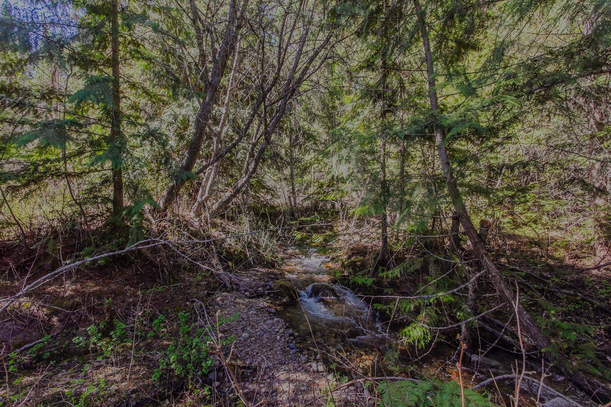 2145 Lotze Creek Road Colville, WA 99114 - Photo 8 of 21 Gallery Image 8