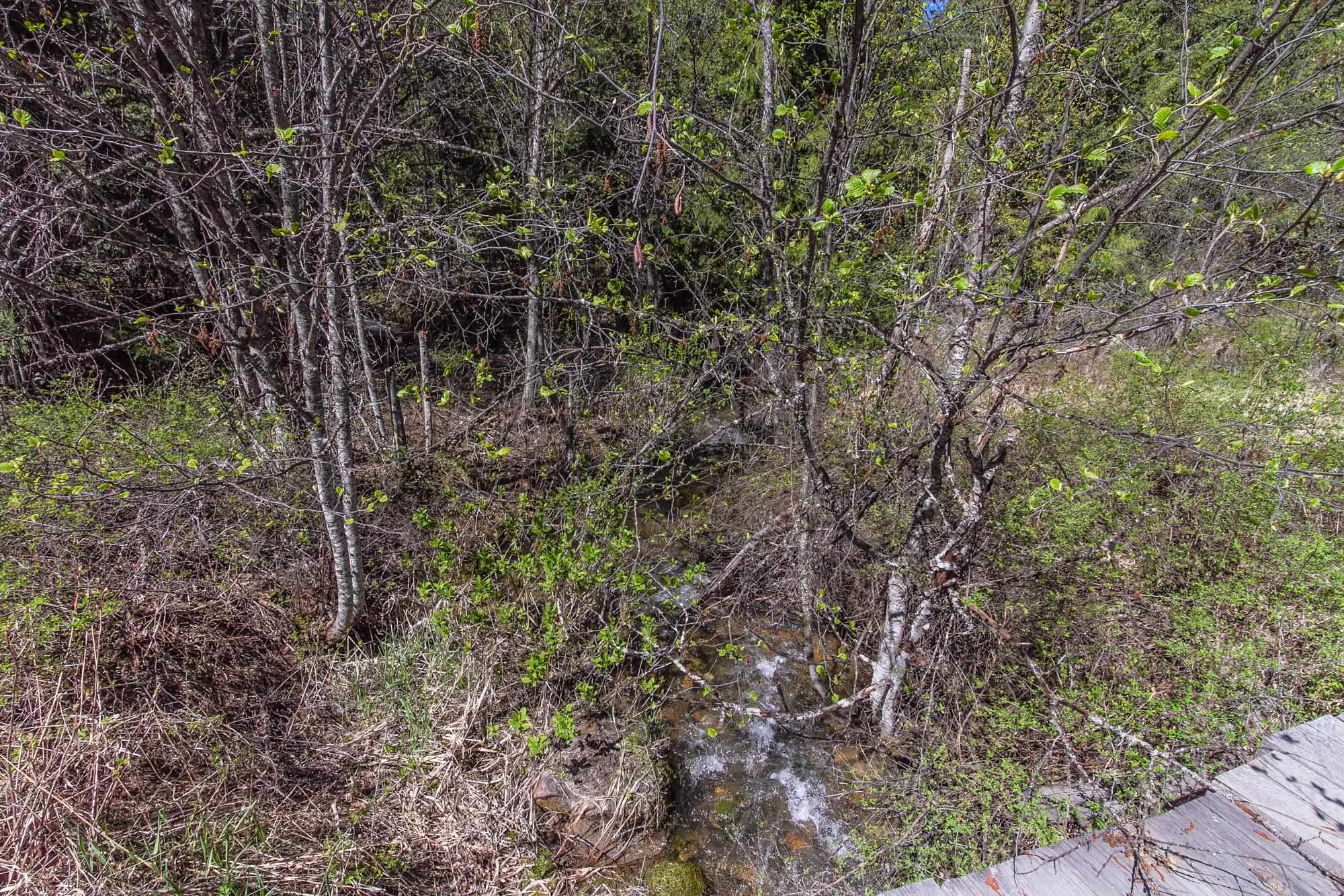 2145 Lotze Creek Road Colville, WA 99114 - Photo 10 of 21 Gallery Image 10