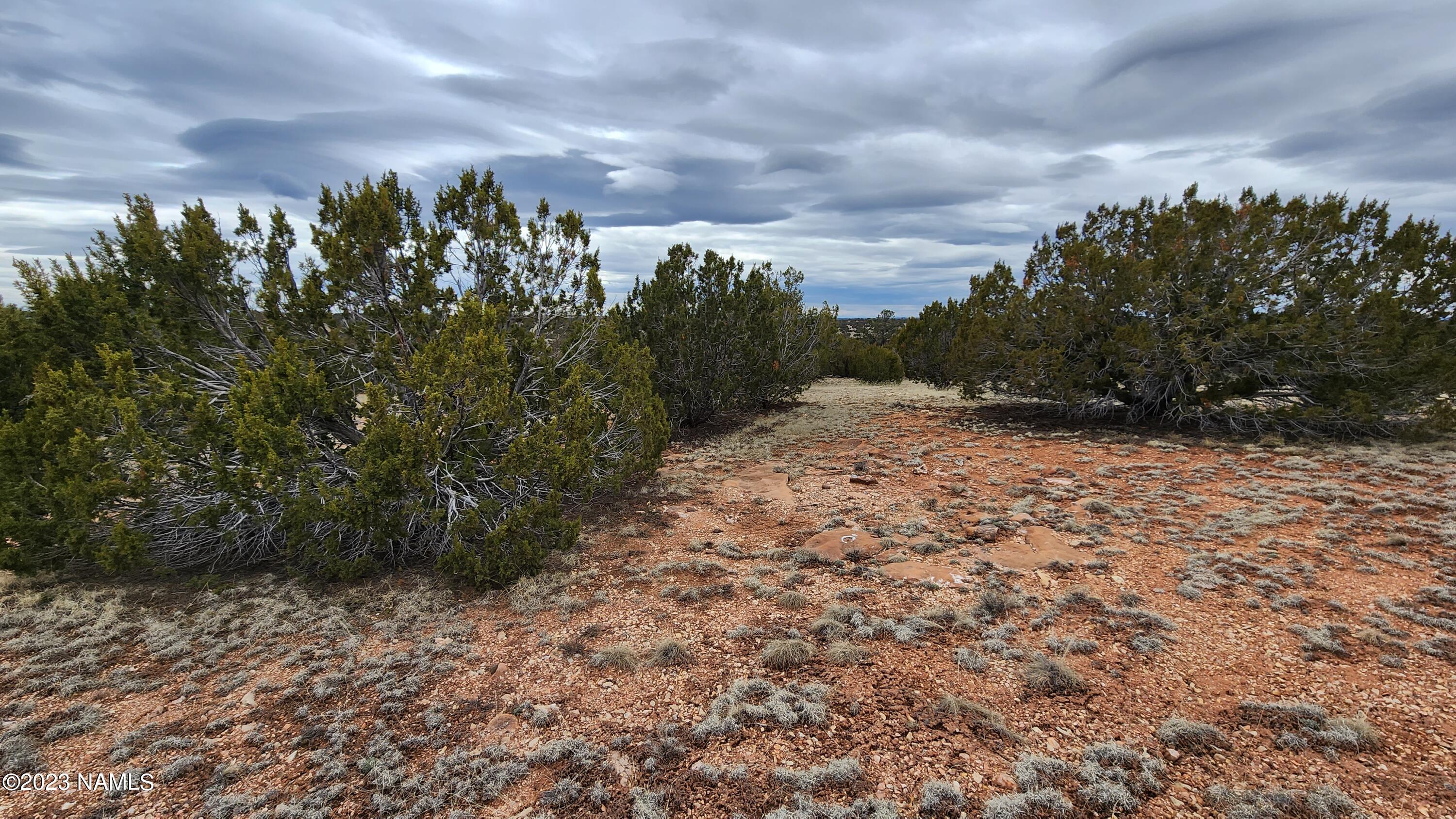 9401 Latigo Road, Unit 252 Williams, AZ 86046 - Photo 5 of 18 20230314_133404