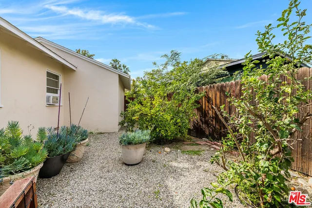 a view of a garden with plants