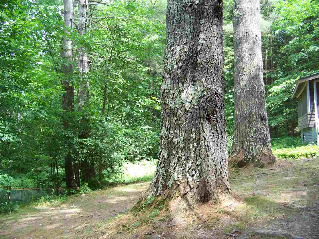 1937 Brandon Mountain Road Rochester, VT 05767 - Photo 15 of 19