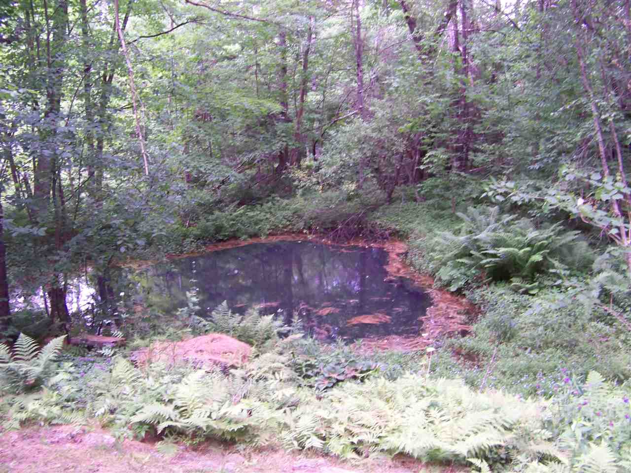 1937 Brandon Mountain Road Rochester, VT 05767 - Photo 3 of 19