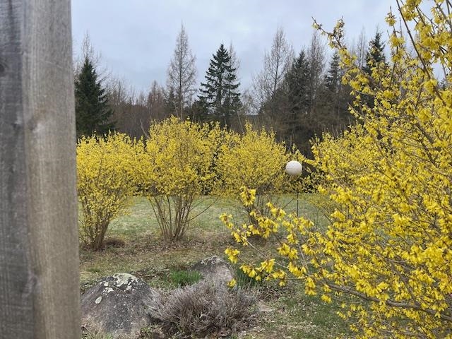 400 Maxfield Road Plainfield, VT 05641 - Photo 6 of 33