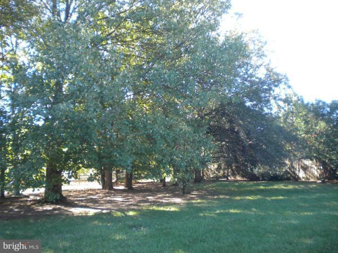 10004 Clearspring Road Damascus, MD 20872 - Photo 5 of 30 Mature trees and beautiful landscaping.