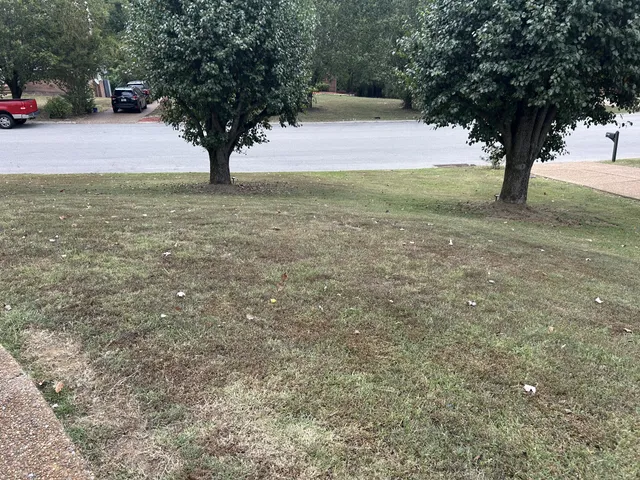 a view of a terrace with couches