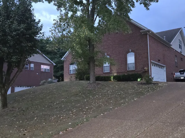 a view of a yard with plants and trees