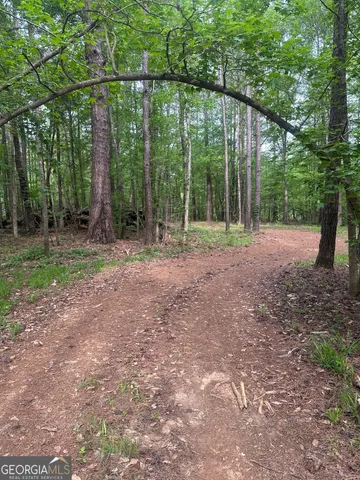 a view of a yard with a tree