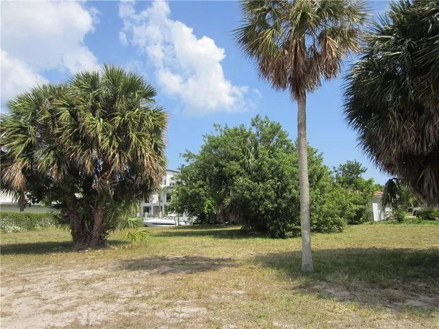 a view of a yard with palm trees