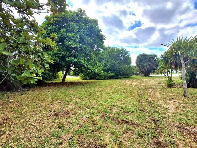 a view of a yard with a trees