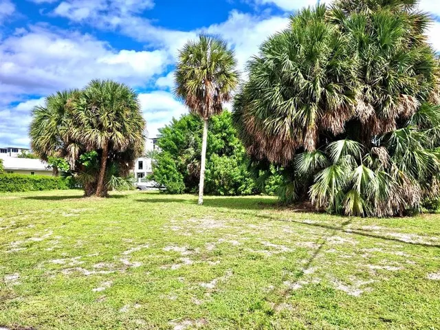 a view of a yard with a tree