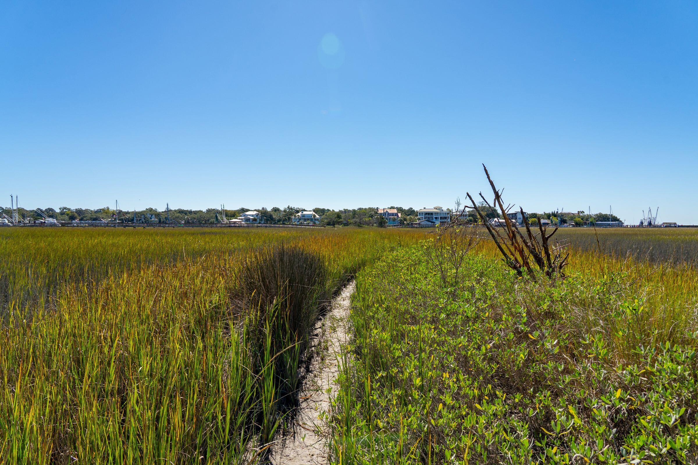 346 Bayview Drive Mount Pleasant, SC 29464 - Photo 67 of 78 Bayview Acres Path
