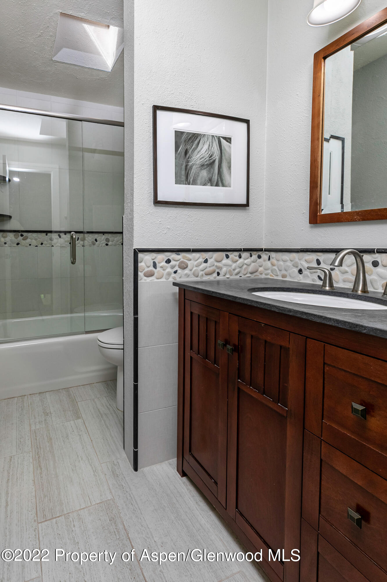 124 East Durant Avenue, Unit 4 Aspen, CO 81611 - Photo 9 of 13 a bathroom with a sink a toilet and shower