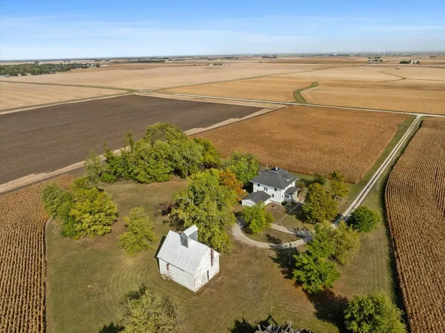 a dining room with furniture a rug a potted plant and wooden floor