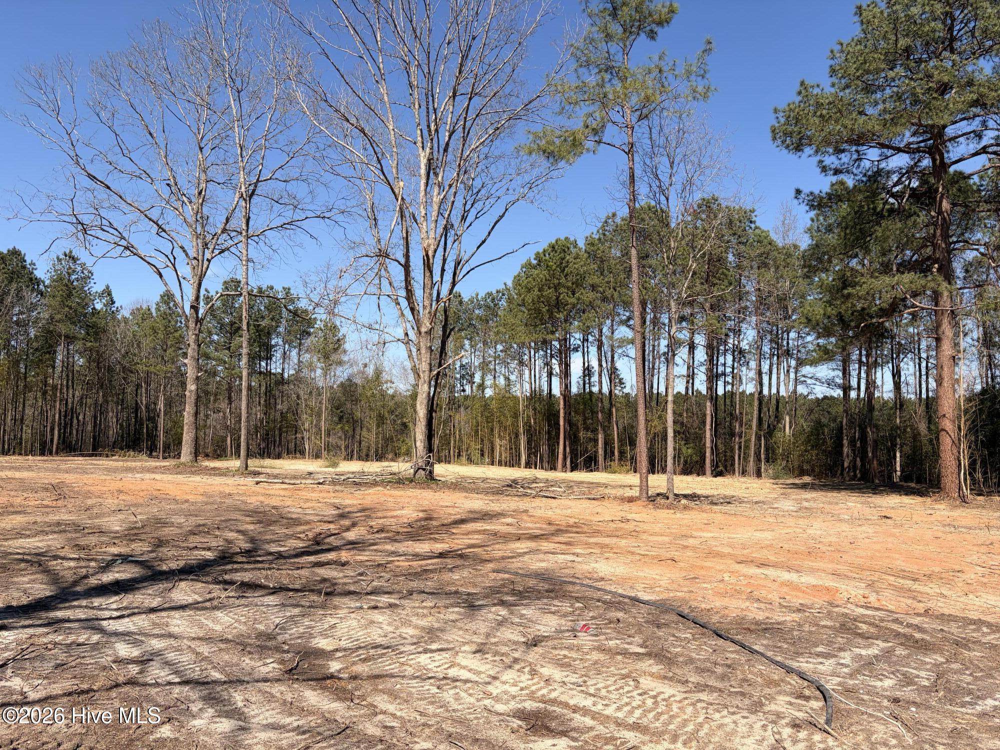 880 Doubs Chapel Road Carthage, NC 28327 - Photo 3 of 7 LOT B