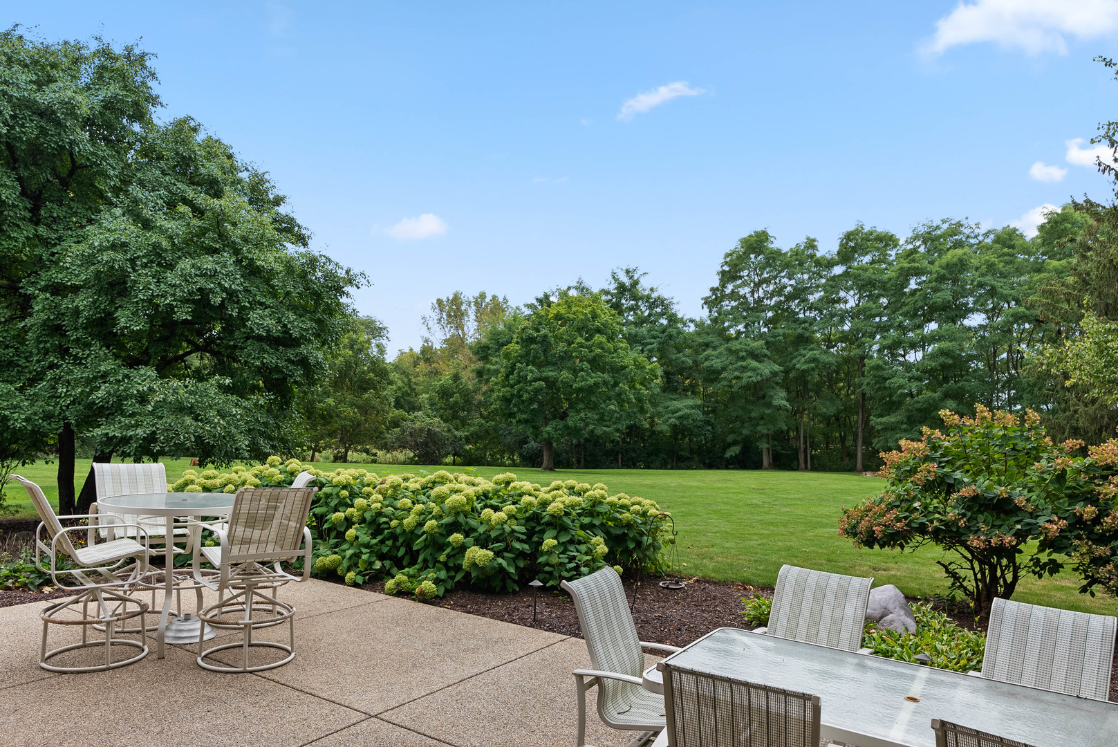 5N156 Dunham Road St. Charles, IL 60174 - Photo 10 of 65 a view of a chair and table on the terrace
