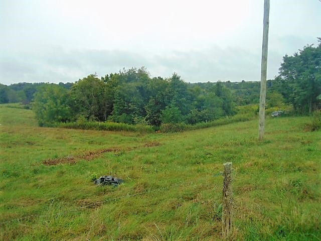 59.02 Acres Stewart Ridge Road Sparta, KY 41086 - Photo 30 of 30
