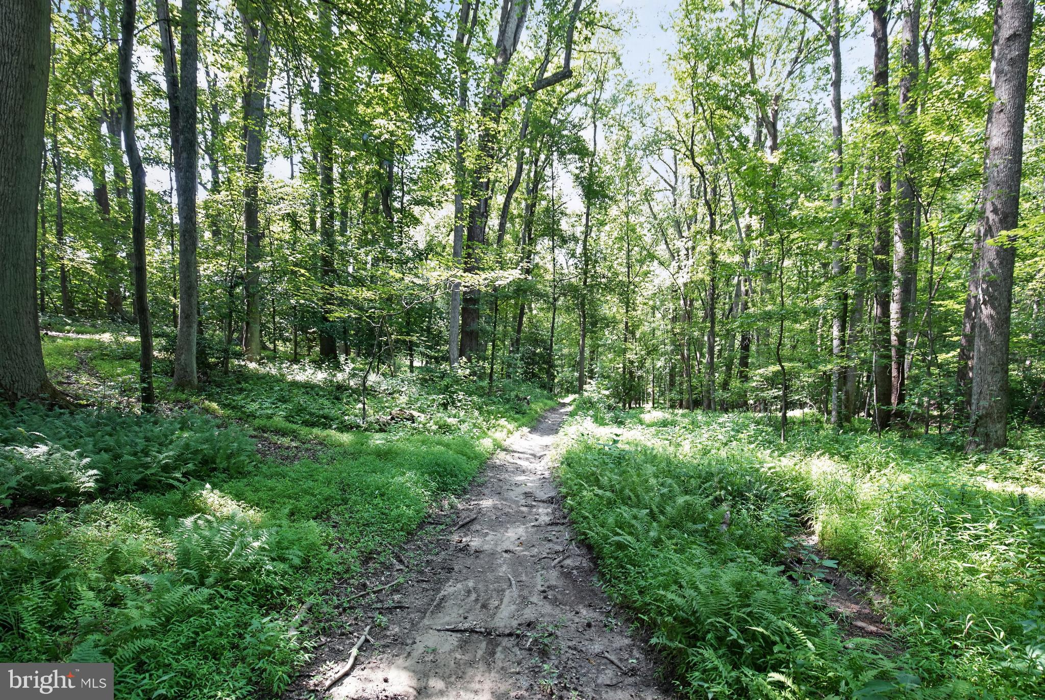 11450 Edge Hill Road Newburg, MD 20664 - Photo 54 of 65 trails