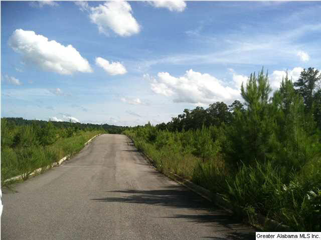 Old Acton Road, Unit 55 Moody, AL 35004 - Photo 7 of 9