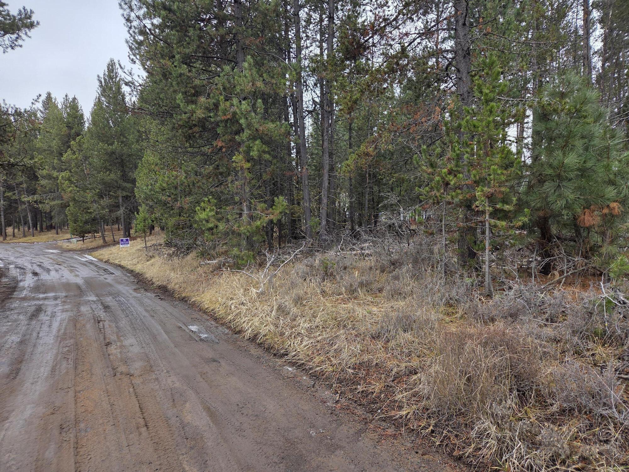 15627 Rim Drive La Pine, OR 97739 - Photo 2 of 9 a view of a dry yard with trees